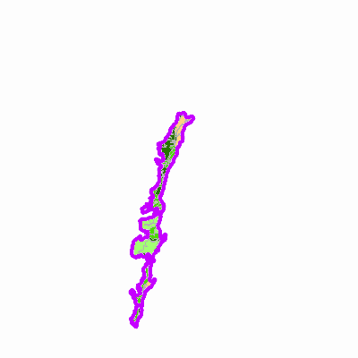 Export Image