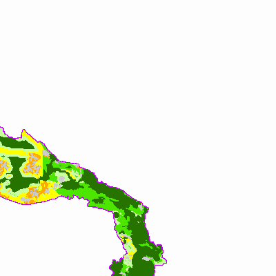 Export Image
