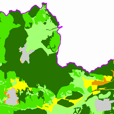 Export Image
