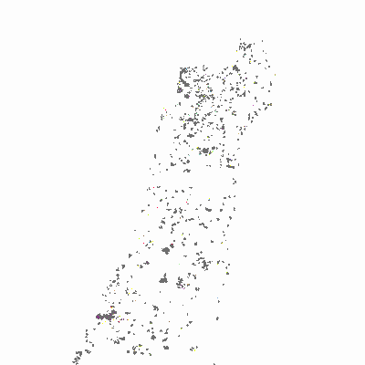 Export Image