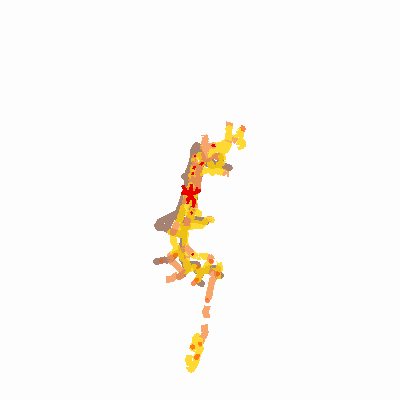Export Image