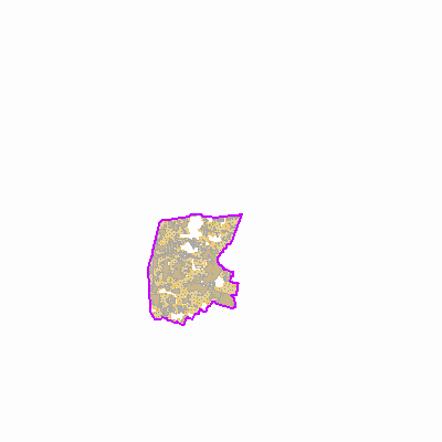 Export Image